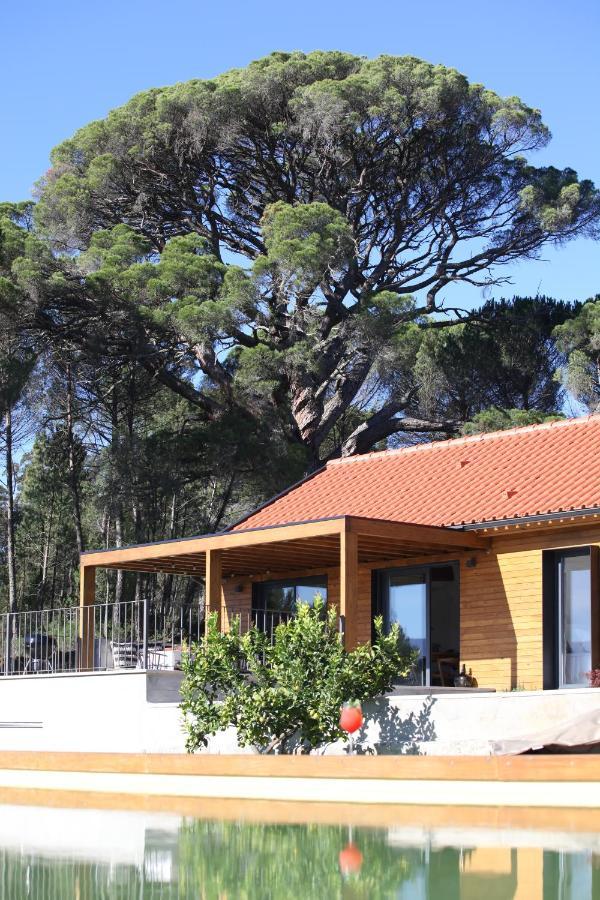 Villa Casas Do Pinheiro Grande Fornos de Algodres Esterno foto
